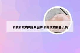 白菜白斑病防治及图解 白菜斑病用什么药