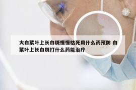 大白菜叶上长白斑慢慢枯死用什么药预防 白菜叶上长白斑打什么药能治疗