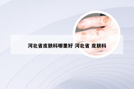 河北省皮肤科哪里好 河北省 皮肤科