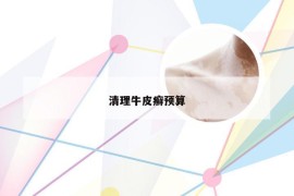 清理牛皮癣预算