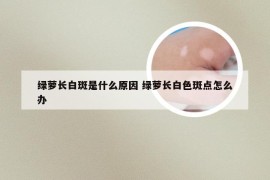 绿萝长白斑是什么原因 绿萝长白色斑点怎么办
