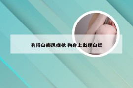 狗得白癜风症状 狗身上出现白斑