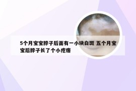 5个月宝宝脖子后面有一小块白斑 五个月宝宝后脖子长了个小疙瘩
