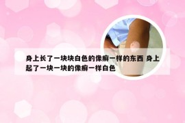 身上长了一块块白色的像癣一样的东西 身上起了一块一块的像癣一样白色