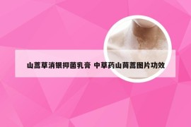 山蒿草消银抑菌乳膏 中草药山茼蒿图片功效