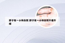 脖子有一小块白斑 脖子有一小块白斑不痛不痒