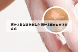 葱叶上长白斑点怎么办 葱叶上面有白点还能吃吗