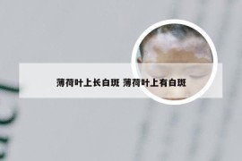 薄荷叶上长白斑 薄荷叶上有白斑
