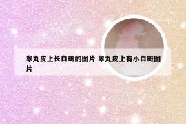 睾丸皮上长白斑的图片 睾丸皮上有小白斑图片