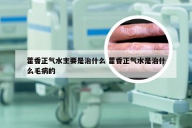 藿香正气水主要是治什么 藿香正气水是治什么毛病的