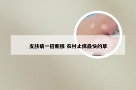皮肤病一招断根 农村止痒最快的草