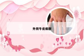 外阴牛皮癣群