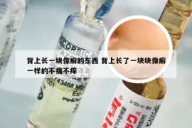 背上长一块像癣的东西 背上长了一块块像癣一样的不痛不痒