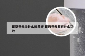 苗草养夫治什么效果好 苗药养夫都有什么功效