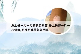 身上长一片一片癣状的东西 身上长得一片一片像癣,不疼不痒是怎么回事