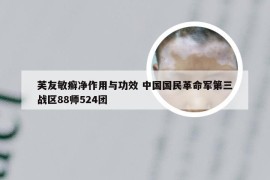 芙友敏癣净作用与功效 中国国民革命军第三战区88师524团