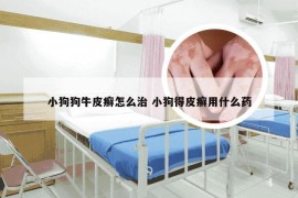 小狗狗牛皮癣怎么治 小狗得皮癣用什么药