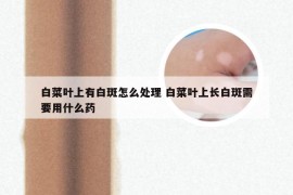 白菜叶上有白斑怎么处理 白菜叶上长白斑需要用什么药