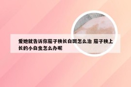 爱她就告诉你茄子秧长白斑怎么治 茄子秧上长的小白虫怎么办呢