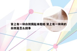 背上有一块白斑摸起来粗糙 背上有一块块的白斑是怎么回事