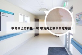 眼角内上方白色一块 眼角内上侧长白疙瘩图
