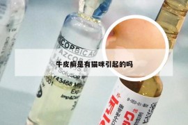牛皮癣是有猫咪引起的吗