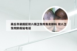 商丘市梁园区双八镇卫生院有皮肤科 双八卫生院防疫站电话