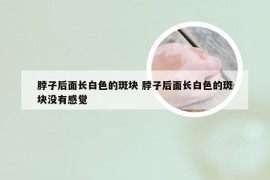 脖子后面长白色的斑块 脖子后面长白色的斑块没有感觉