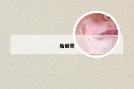 胎癣草